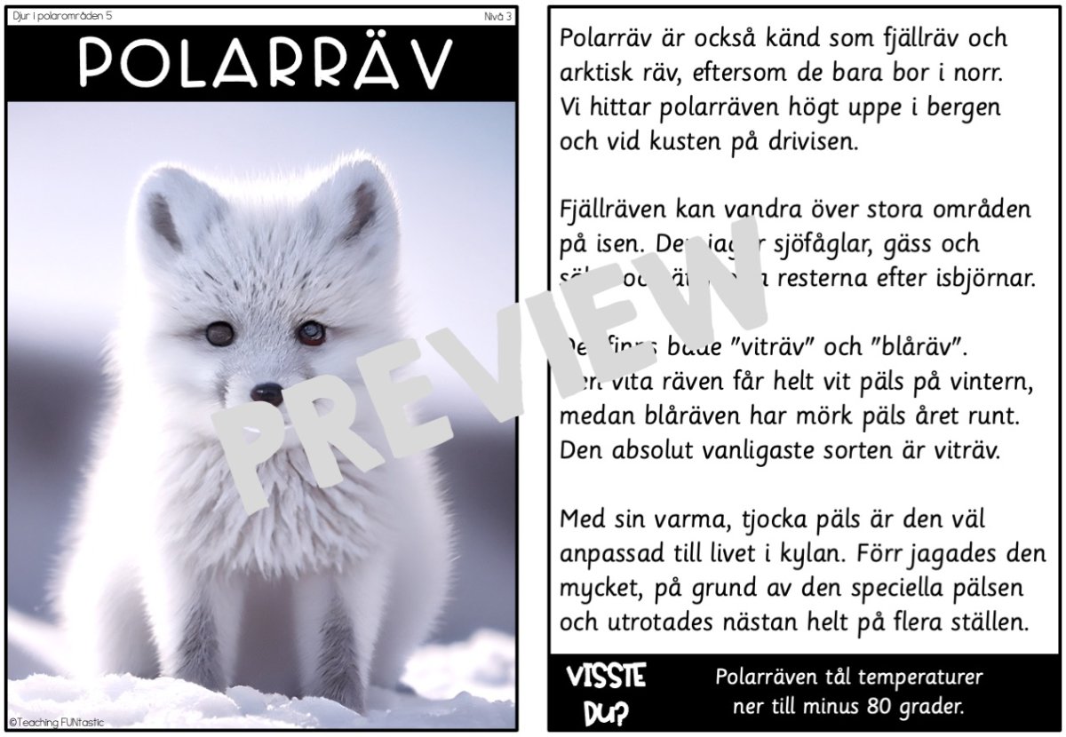 Läsförståelse faktatexter – djur i polarområden - Bild 6