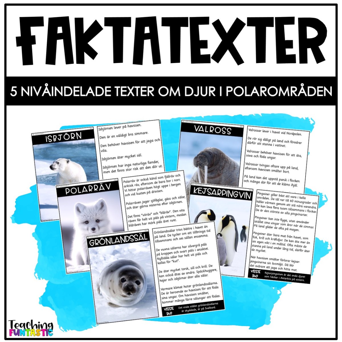 Läsförståelse faktatexter – djur i polarområden