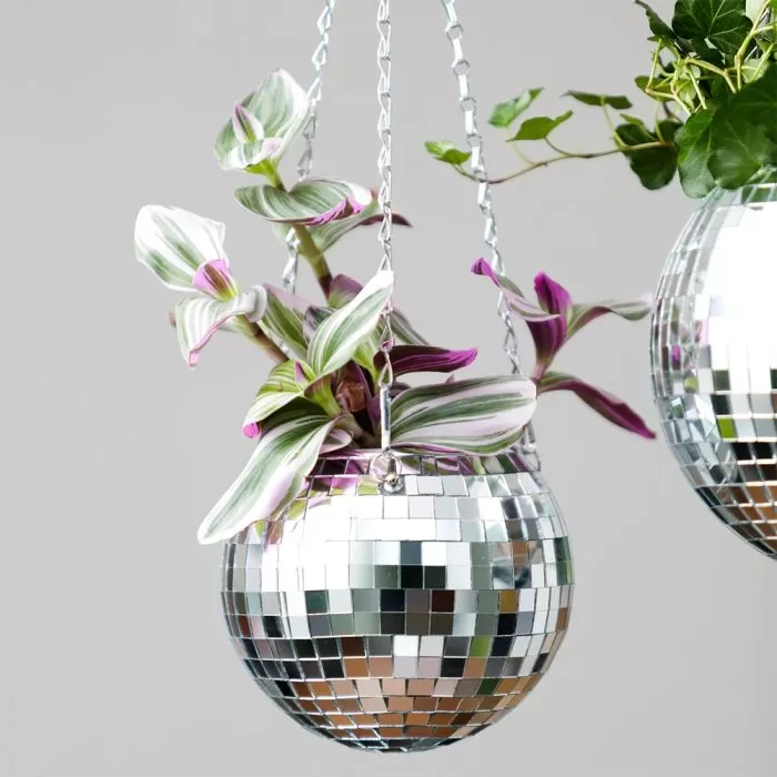 Kruka Disco - Bild 4