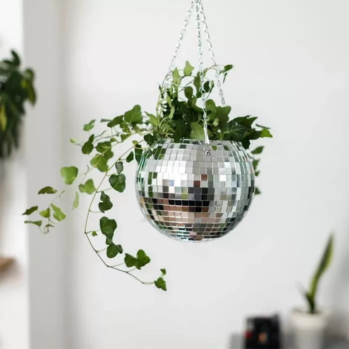 Kruka Disco - Bild 5