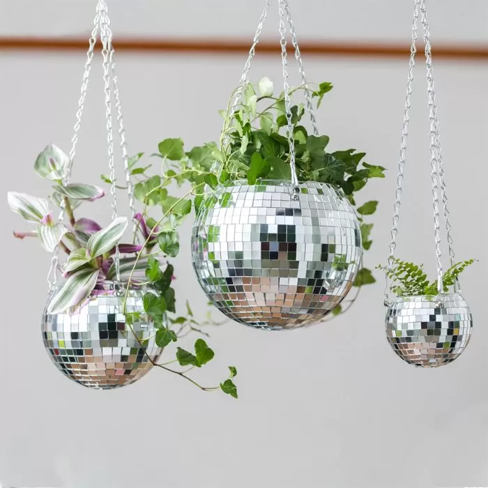 Kruka Disco